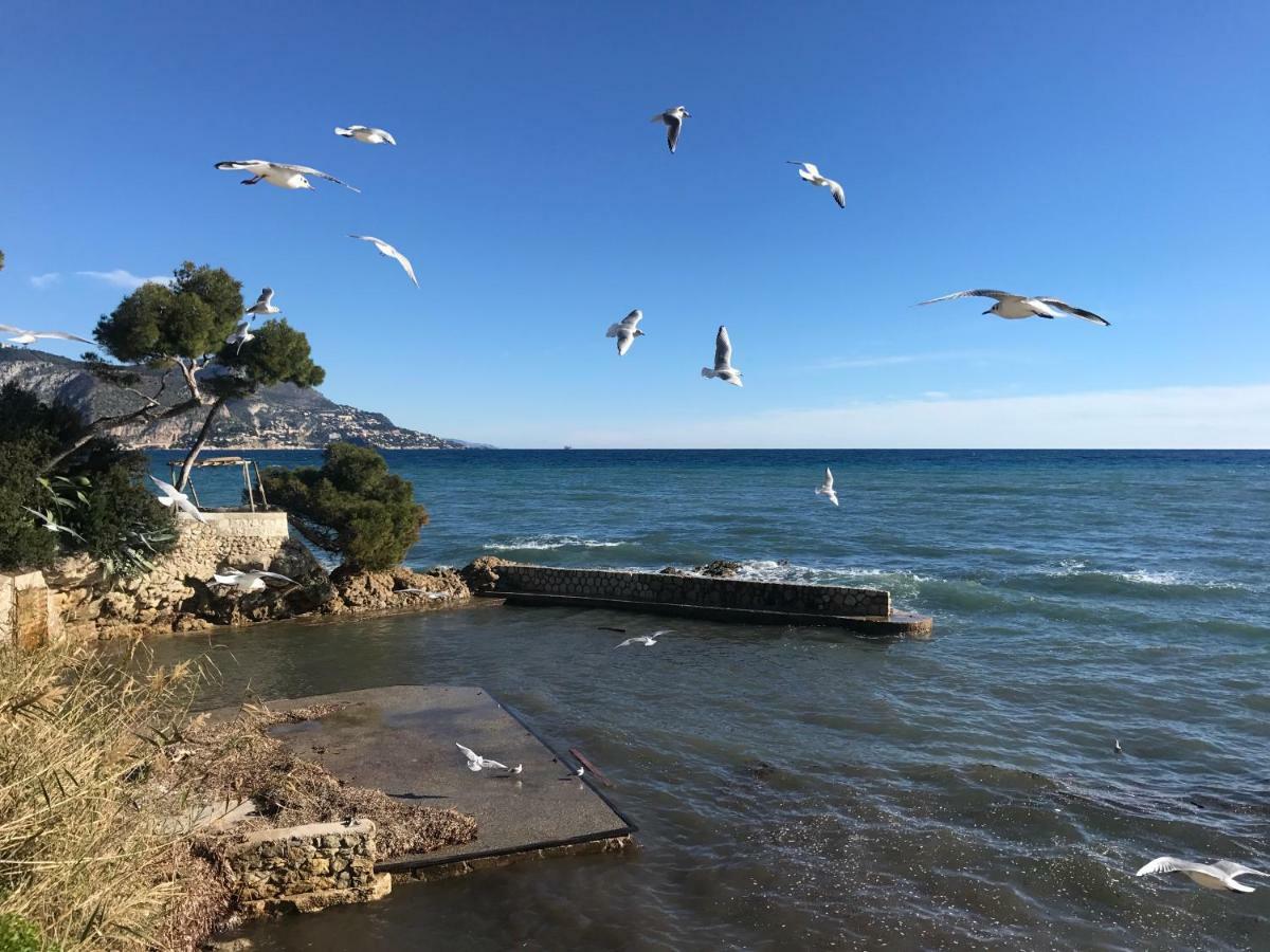 "L'Olivadou" St Jean Cap Ferrat Apartment Saint-Jean-Cap-Ferrat Ngoại thất bức ảnh